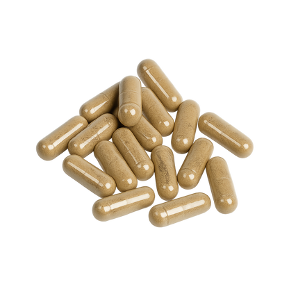 Close-up of pure Shilajit 500mg capsules – natural dietary supplement rich in Fulvic Acid